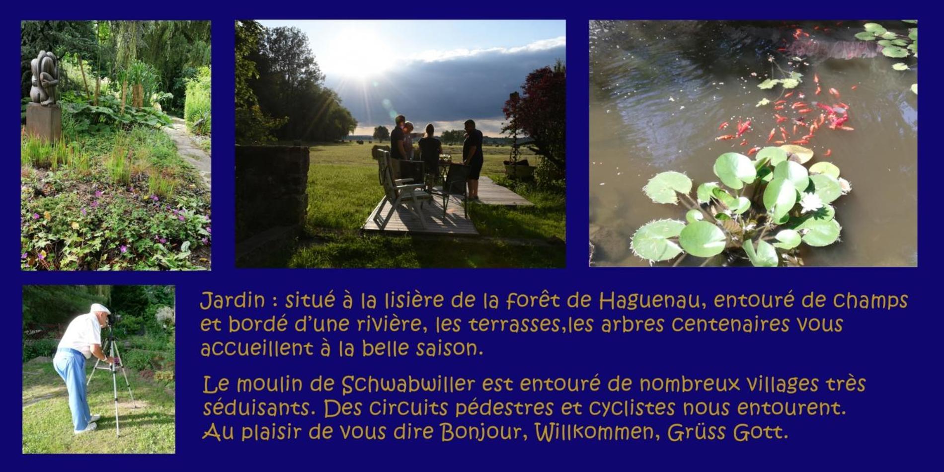 Gite L'Amarante Betschdorf Esterno foto